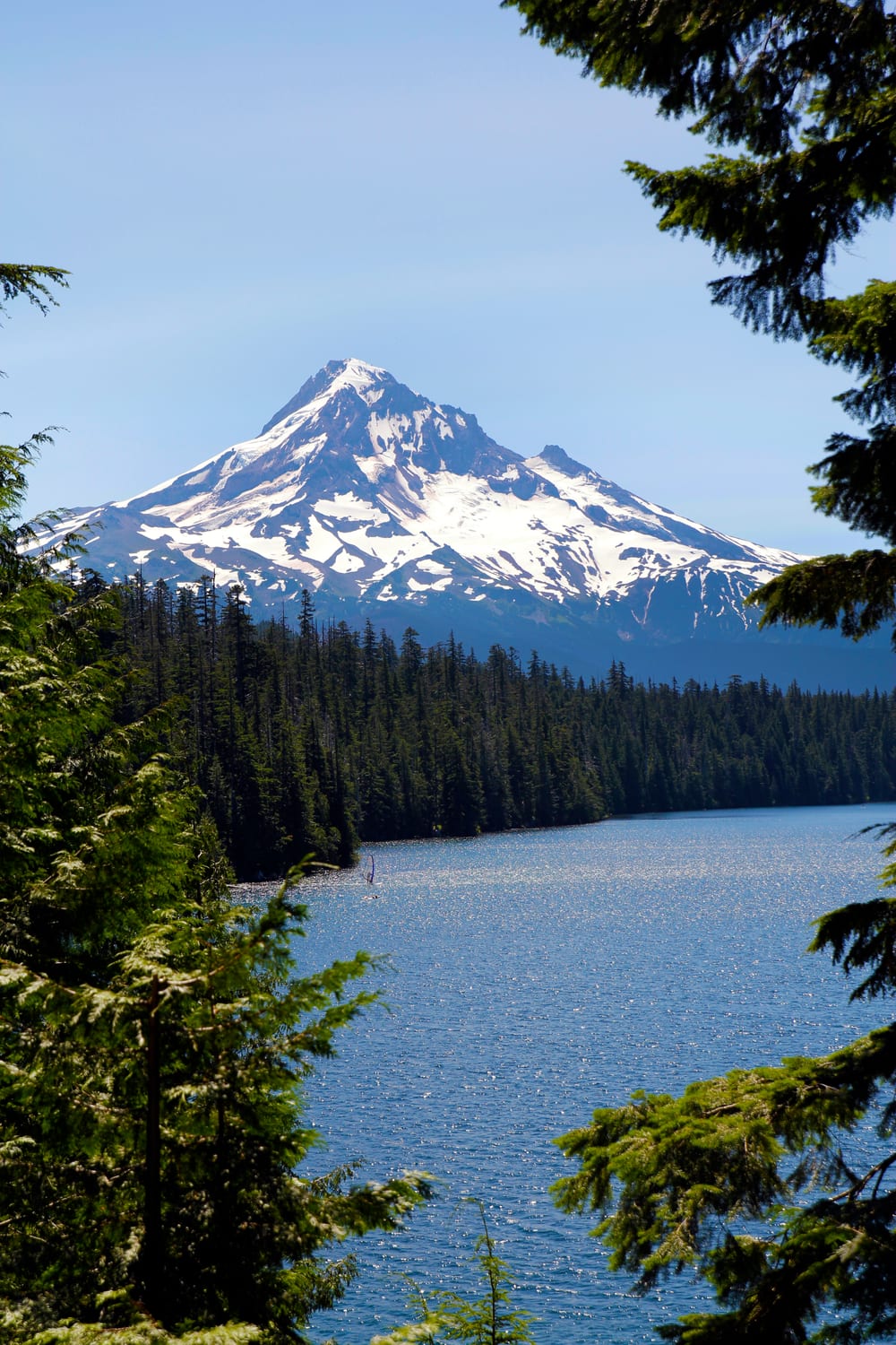 Mount Hood reflected in Lost Lake, Oregon. The Pacific Northwest landscape that the first state-level legal psilocybin services framework operates within. Oregon's licensed service centers cluster along the Interstate 5 corridor that runs through the Cascade range.