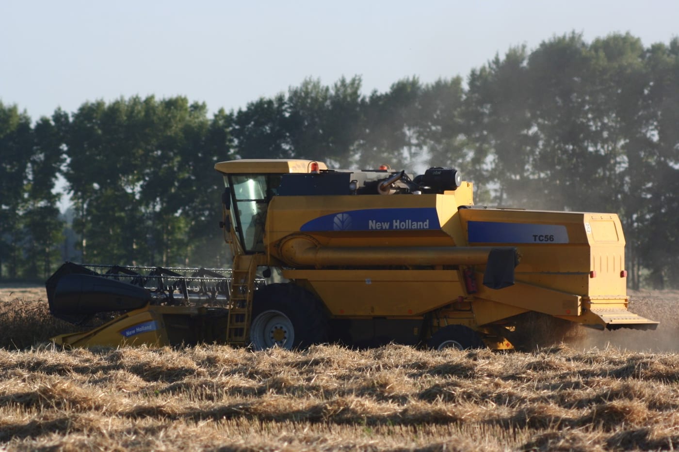 A combine harvester in a wheat field. The mechanised harvest at the operational base of the global grain trade.
